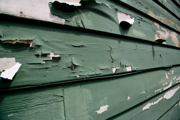 Best Shed Removal  in Burlington, KY